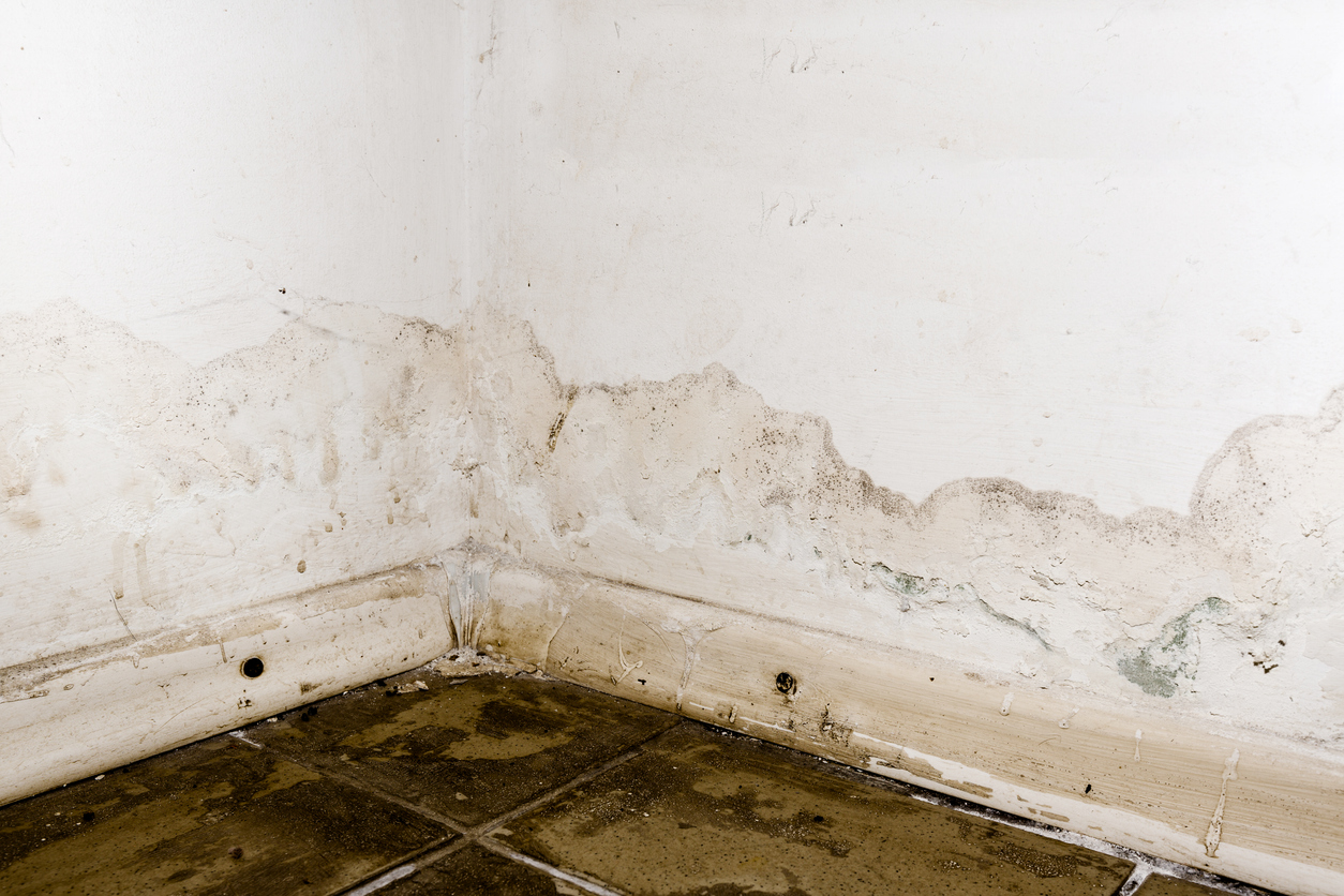 Damage caused by flooding rainwater and floor heating systems, showing peeling paint and mildew, emphasizing the importance of effective water damage control when learning how to clean up after a flood.